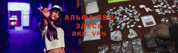 молекула духа Волоколамск