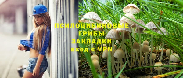 молекула духа Волоколамск