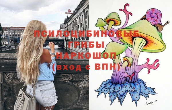 ПСИЛОЦИБИНОВЫЕ ГРИБЫ Володарск