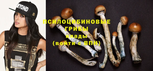 ПСИЛОЦИБИНОВЫЕ ГРИБЫ Володарск