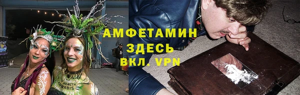 молекула духа Волоколамск